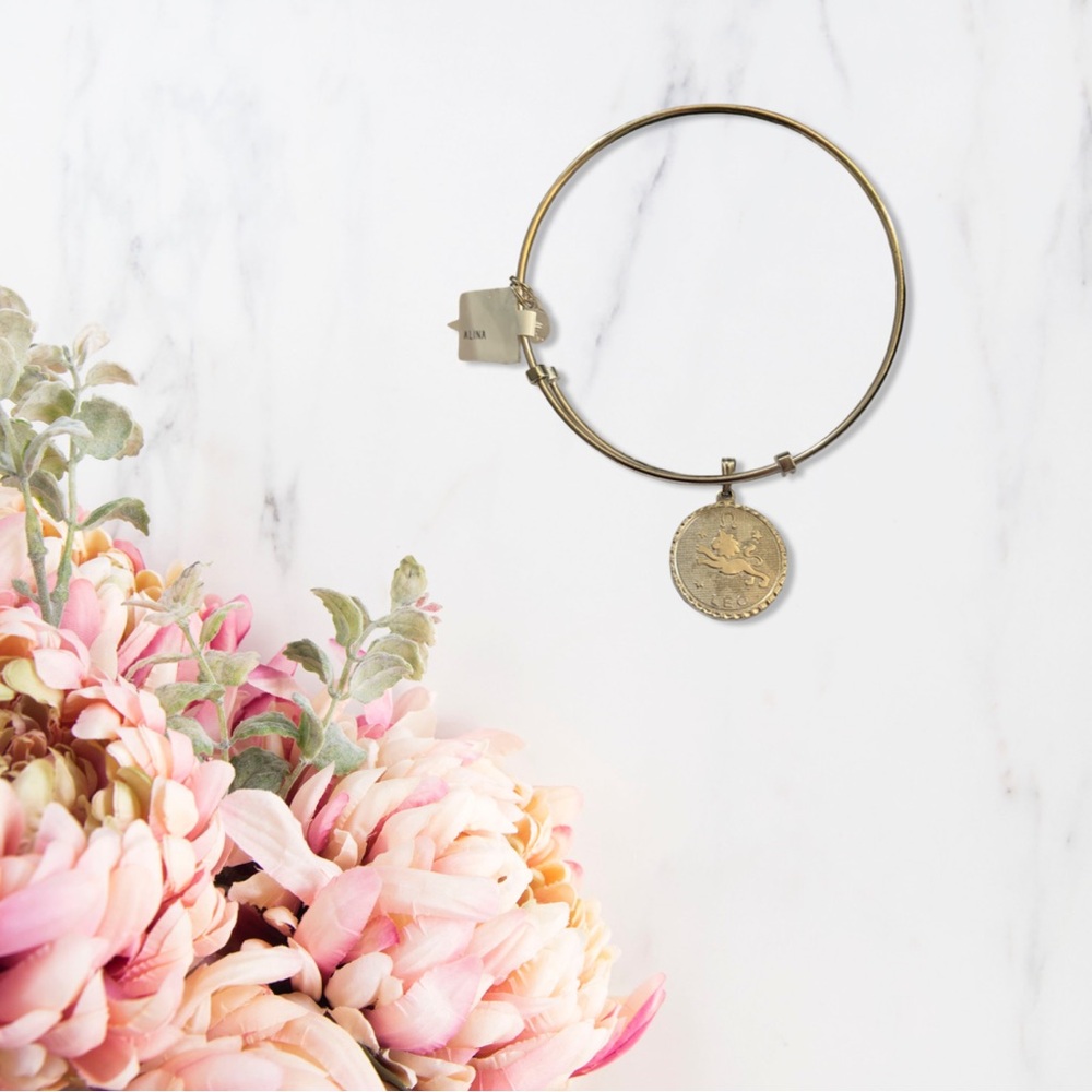 ❄️❄️NWT Alina Leo Zodiac Expandable Wire Charm Bracelet Bangle